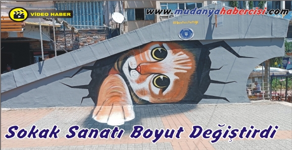 Sokak Sanat Boyut Deitirdi